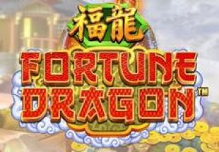 Informações gerais sobre a ranhura Fortune Dragon