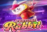 Fortune Rabbit