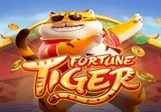 Fortune Tiger