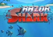 Razor Shark