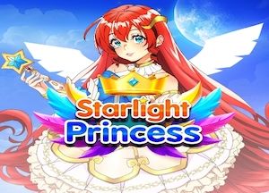 Informações gerais sobre a ranhura Starlight Princess