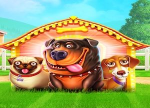 Informações gerais sobre a ranhura The Dog House